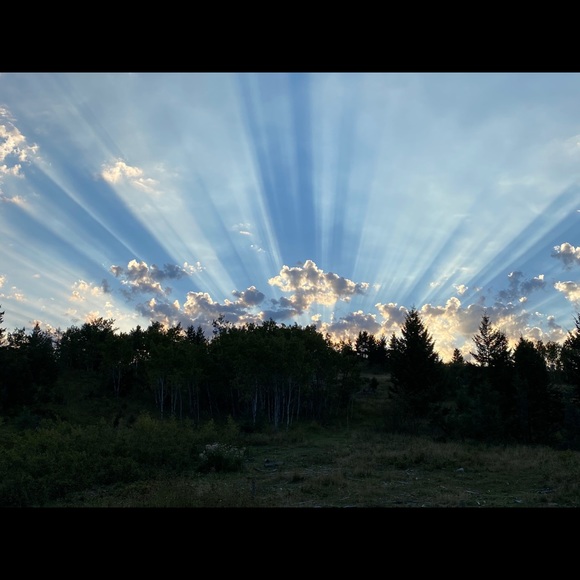 Meet your Posher, Robyn - Picture 1 of 1